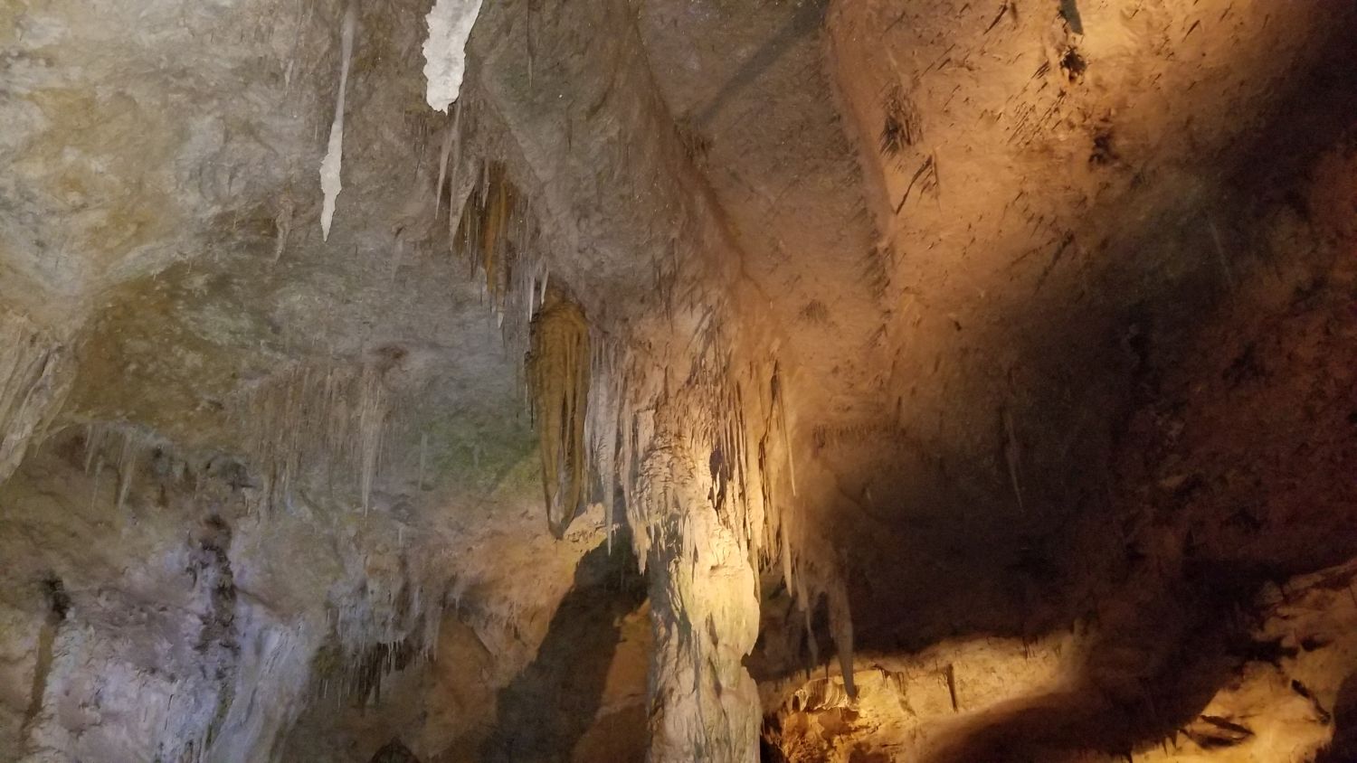 Carlsbad Caverns 